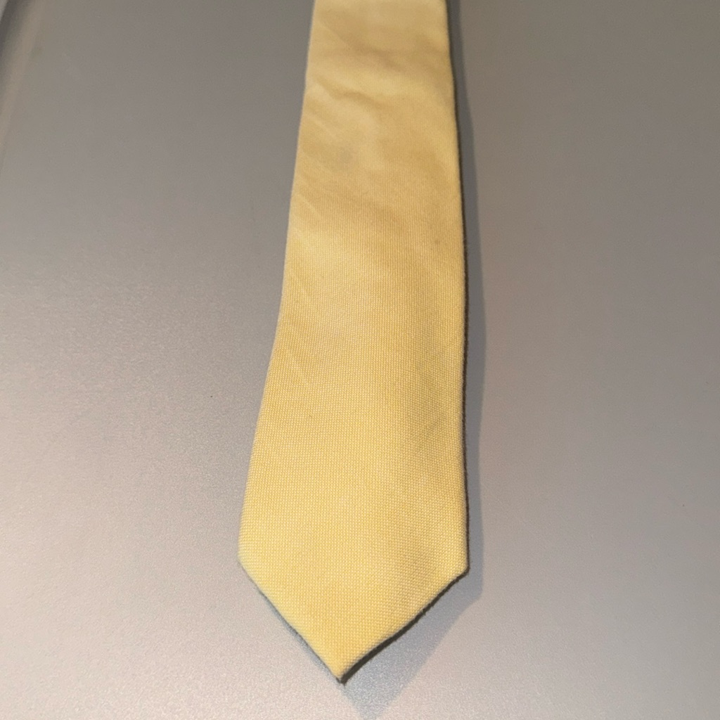 Brand New J Crew Tie
